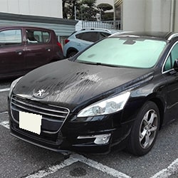 プジョー